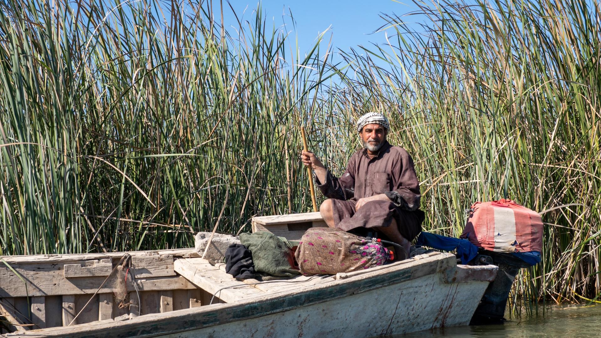 Traditional wooden boat with a local fisherman navigating through tall reeds in the marshlands of Southern Iraq