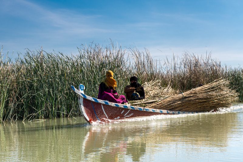 Marsh Arab women riding a traditional boat loaded with reed bundles in the Mesopotamian marshes, Iraq